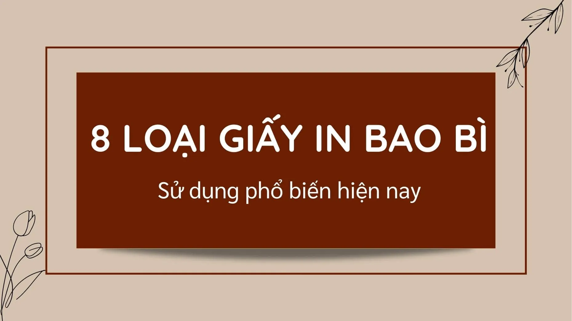 Các loại giấy in bao bì